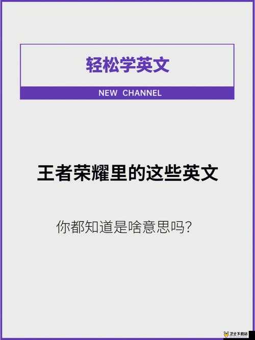 王者荣耀霸气英文名字精选，探讨资源管理、高效利用以实现价值最大化策略